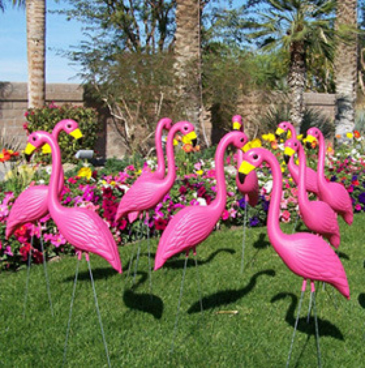 Lawn Flamingos