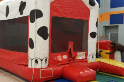 Sparky The Dalmatian 5-1 Mini Combo