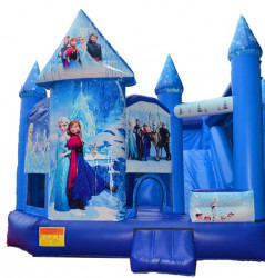 Frozen Theme Bouncer
